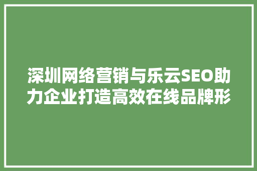 深圳网络营销与乐云SEO助力企业打造高效在线品牌形象