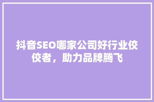 抖音SEO哪家公司好行业佼佼者，助力品牌腾飞