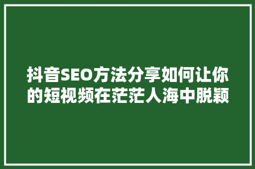 抖音SEO方法分享如何让你的短视频在茫茫人海中脱颖而出