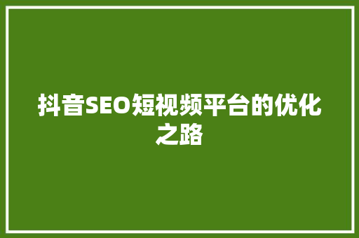抖音SEO短视频平台的优化之路