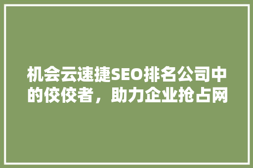 机会云速捷SEO排名公司中的佼佼者，助力企业抢占网络高地