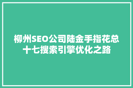 柳州SEO公司陆金手指花总十七搜索引擎优化之路