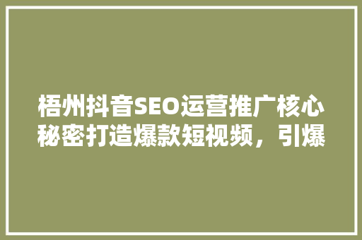 梧州抖音SEO运营推广核心秘密打造爆款短视频，引爆流量