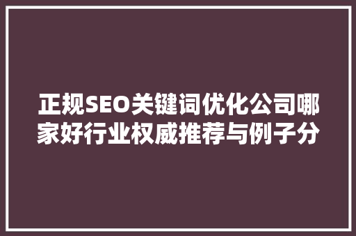 正规SEO关键词优化公司哪家好行业权威推荐与例子分析