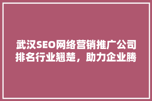 武汉SEO网络营销推广公司排名行业翘楚，助力企业腾飞