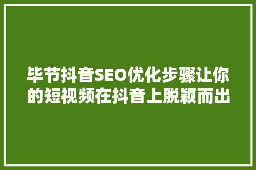 毕节抖音SEO优化步骤让你的短视频在抖音上脱颖而出