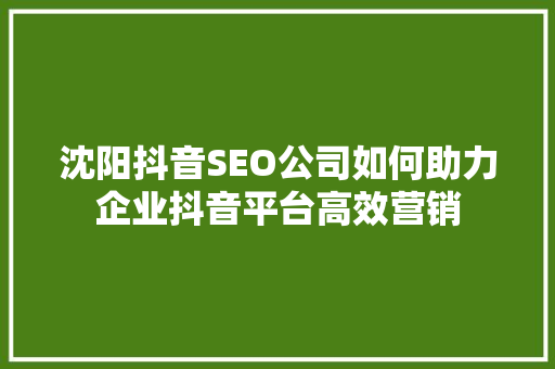 沈阳抖音SEO公司如何助力企业抖音平台高效营销