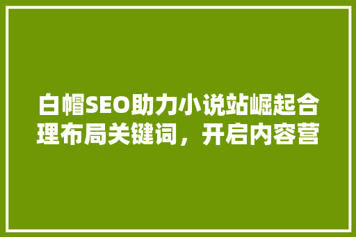 白帽SEO助力小说站崛起合理布局关键词，开启内容营销新篇章