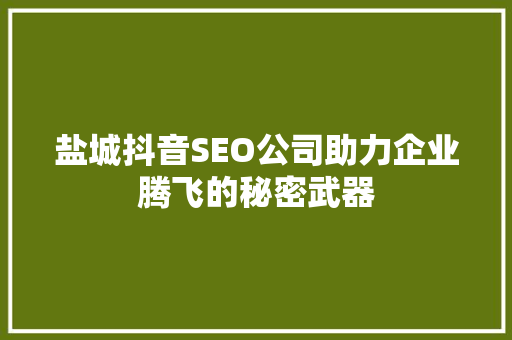 盐城抖音SEO公司助力企业腾飞的秘密武器