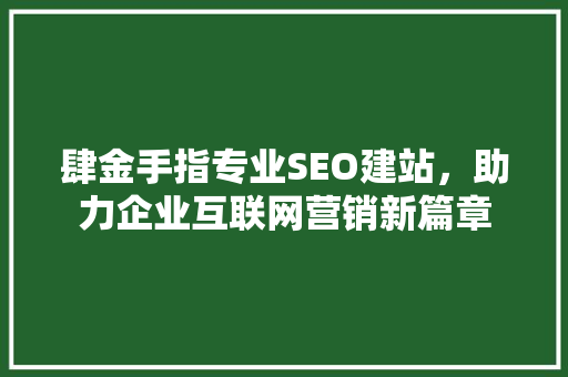 肆金手指专业SEO建站，助力企业互联网营销新篇章