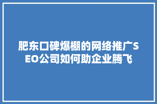 肥东口碑爆棚的网络推广SEO公司如何助企业腾飞
