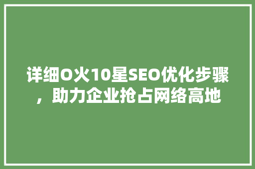 详细O火10星SEO优化步骤，助力企业抢占网络高地