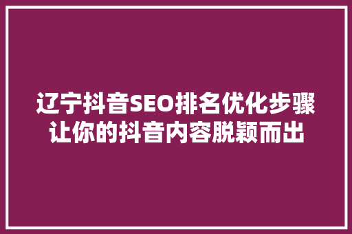 辽宁抖音SEO排名优化步骤让你的抖音内容脱颖而出