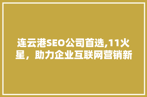 连云港SEO公司首选,11火星，助力企业互联网营销新篇章