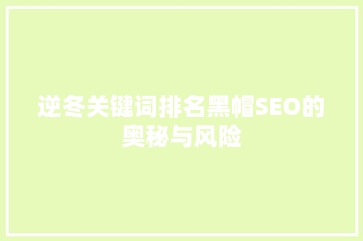 逆冬关键词排名黑帽SEO的奥秘与风险