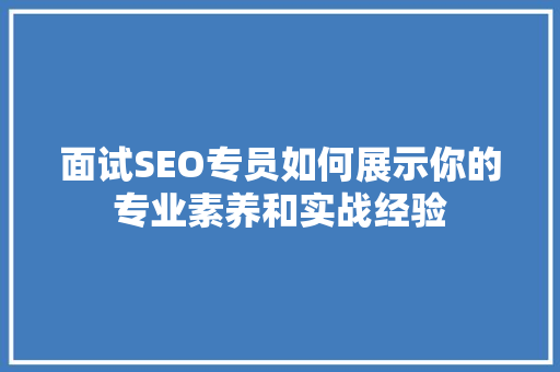 面试SEO专员如何展示你的专业素养和实战经验