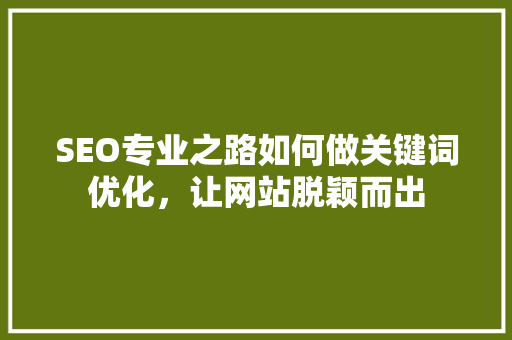 SEO专业之路如何做关键词优化，让网站脱颖而出