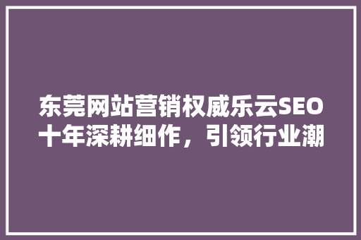 东莞网站营销权威乐云SEO十年深耕细作，引领行业潮流