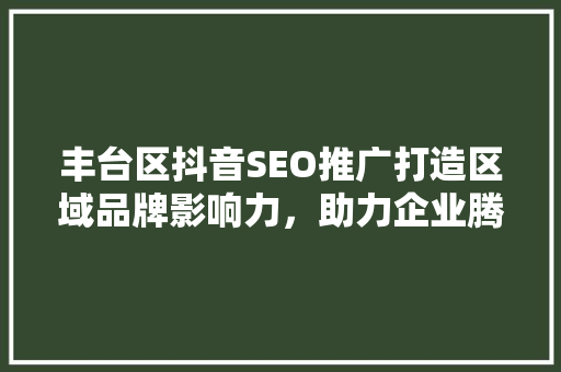 丰台区抖音SEO推广打造区域品牌影响力，助力企业腾飞
