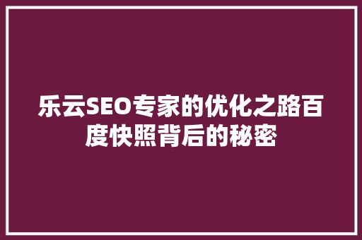 乐云SEO专家的优化之路百度快照背后的秘密