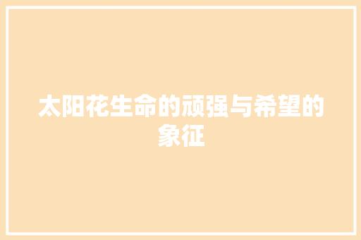 太阳花生命的顽强与希望的象征