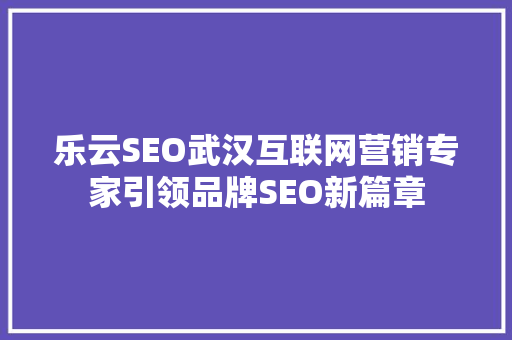 乐云SEO武汉互联网营销专家引领品牌SEO新篇章