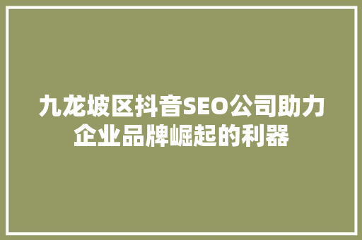 九龙坡区抖音SEO公司助力企业品牌崛起的利器