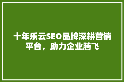 十年乐云SEO品牌深耕营销平台，助力企业腾飞