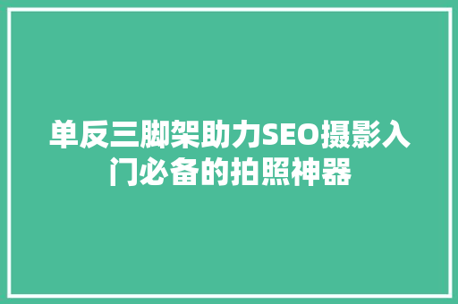 单反三脚架助力SEO摄影入门必备的拍照神器