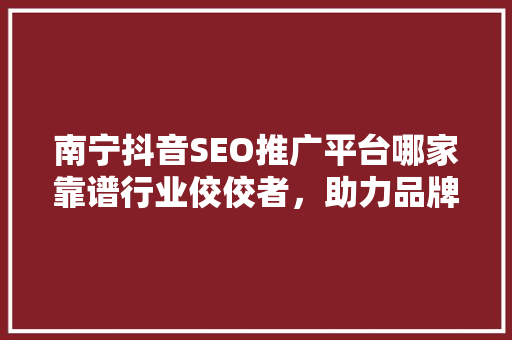 南宁抖音SEO推广平台哪家靠谱行业佼佼者，助力品牌腾飞