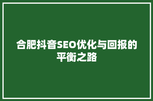 合肥抖音SEO优化与回报的平衡之路