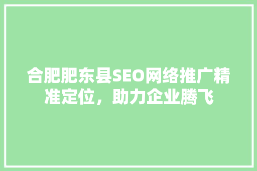 合肥肥东县SEO网络推广精准定位，助力企业腾飞