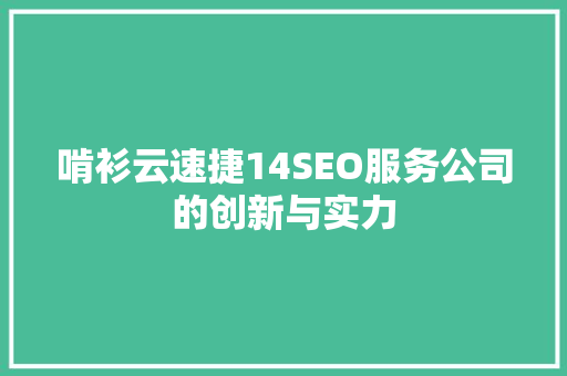 啃衫云速捷14SEO服务公司的创新与实力