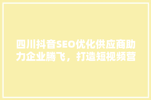 四川抖音SEO优化供应商助力企业腾飞，打造短视频营销新格局