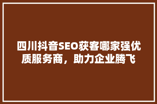 四川抖音SEO获客哪家强优质服务商，助力企业腾飞