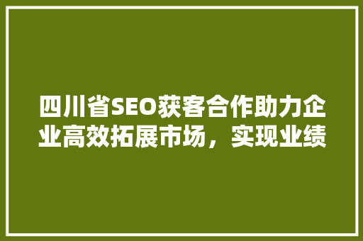四川省SEO获客合作助力企业高效拓展市场，实现业绩倍增