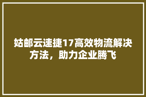 姑邮云速捷17高效物流解决方法，助力企业腾飞