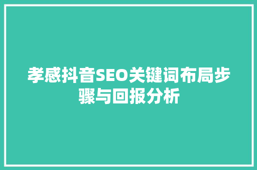 孝感抖音SEO关键词布局步骤与回报分析