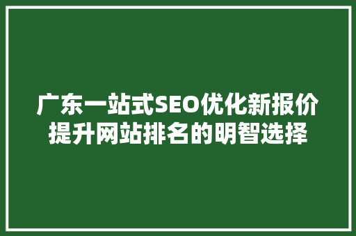 广东一站式SEO优化新报价提升网站排名的明智选择