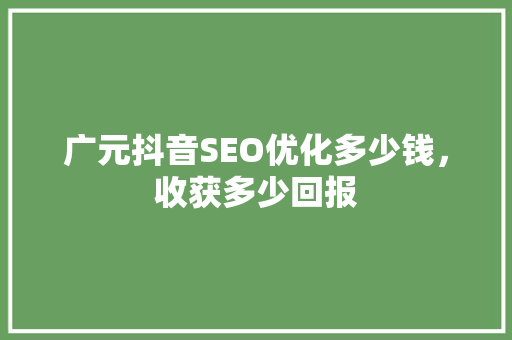 广元抖音SEO优化多少钱，收获多少回报