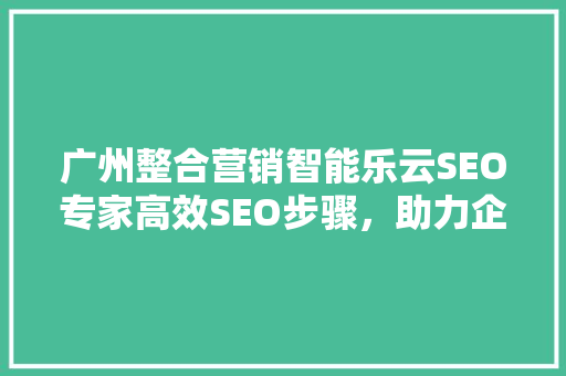 广州整合营销智能乐云SEO专家高效SEO步骤，助力企业腾飞