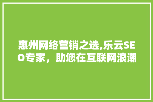惠州网络营销之选,乐云SEO专家，助您在互联网浪潮中乘风破浪