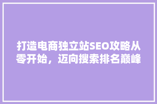 打造电商独立站SEO攻略从零开始，迈向搜索排名巅峰