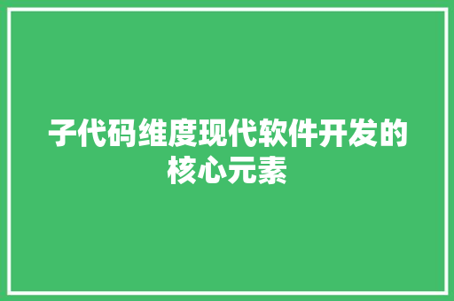子代码维度现代软件开发的核心元素