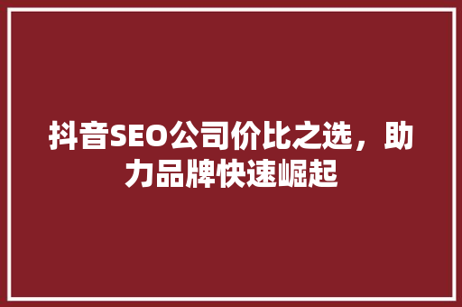 抖音SEO公司价比之选，助力品牌快速崛起