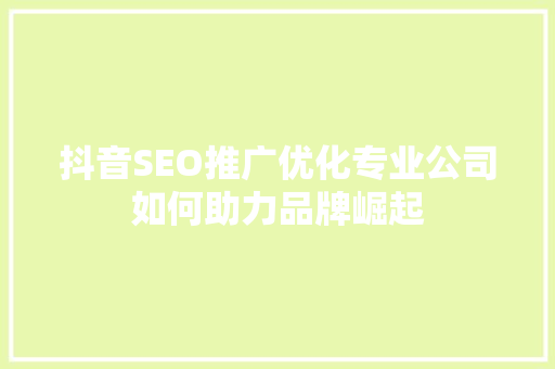 抖音SEO推广优化专业公司如何助力品牌崛起
