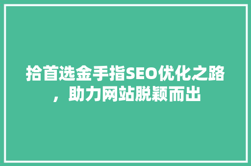 拾首选金手指SEO优化之路，助力网站脱颖而出