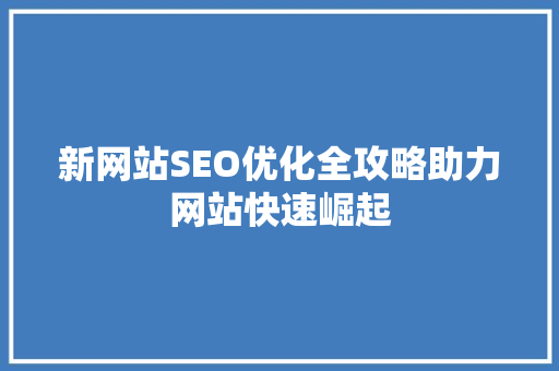 新网站SEO优化全攻略助力网站快速崛起