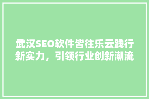 武汉SEO软件皆往乐云践行新实力，引领行业创新潮流