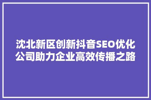 沈北新区创新抖音SEO优化公司助力企业高效传播之路